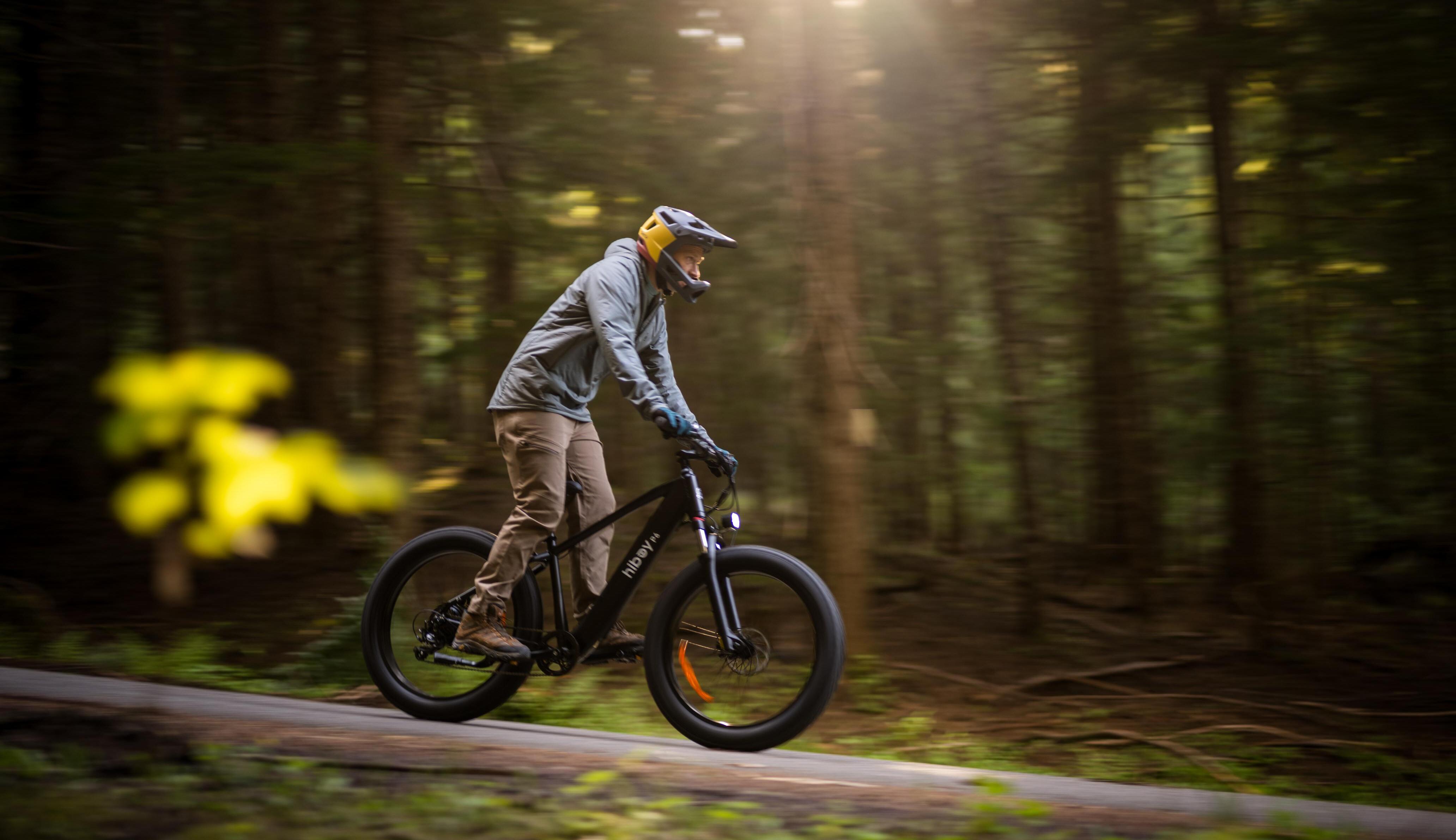 What Is the Best Electric Bike for Hunting? Top Picks and Buying Guide for 2026