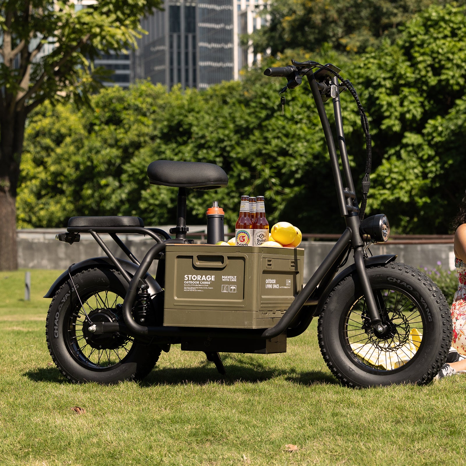 Hiboy U2 Pro Electric Scooter with 16" Fat Tires