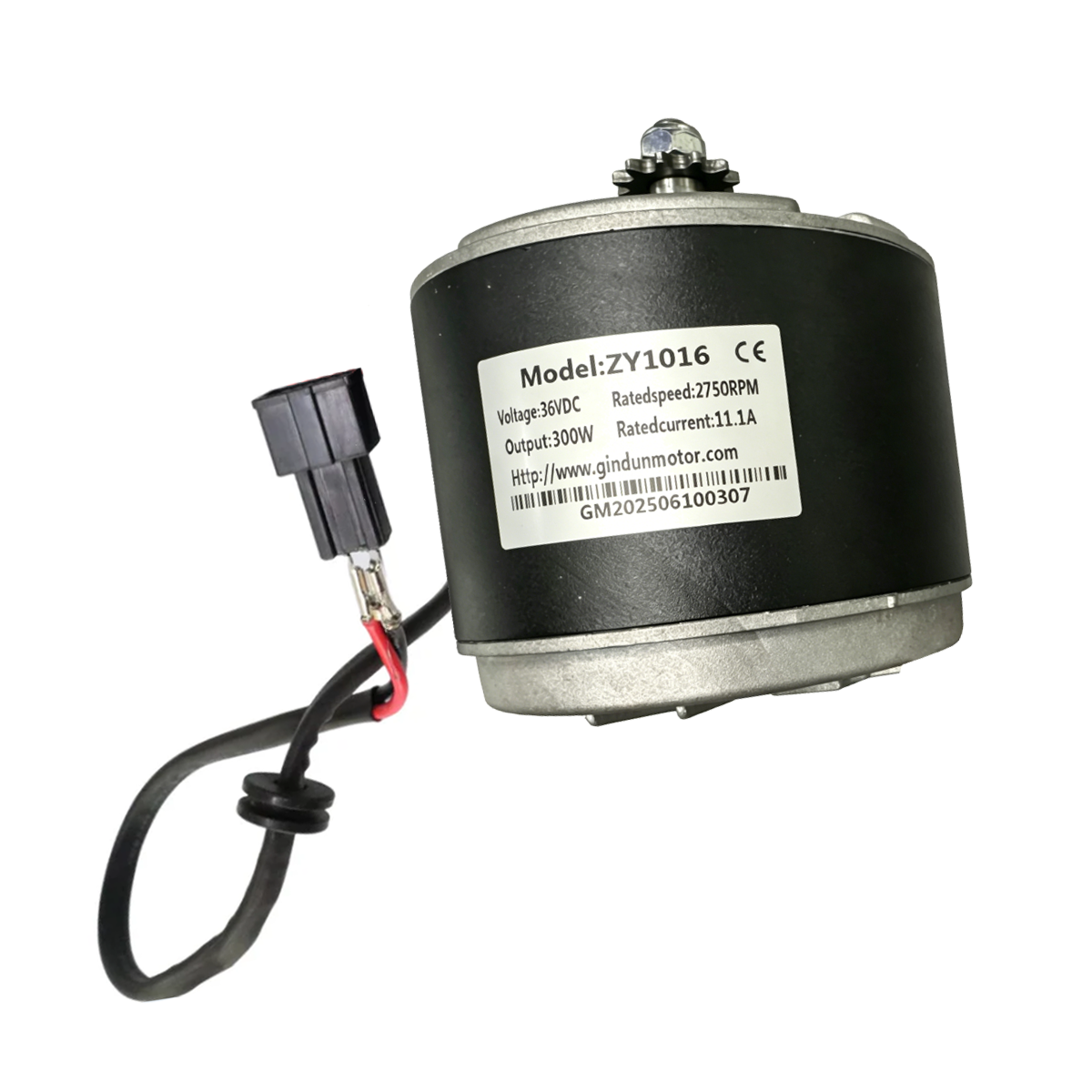 Hiboy DK1 Motor