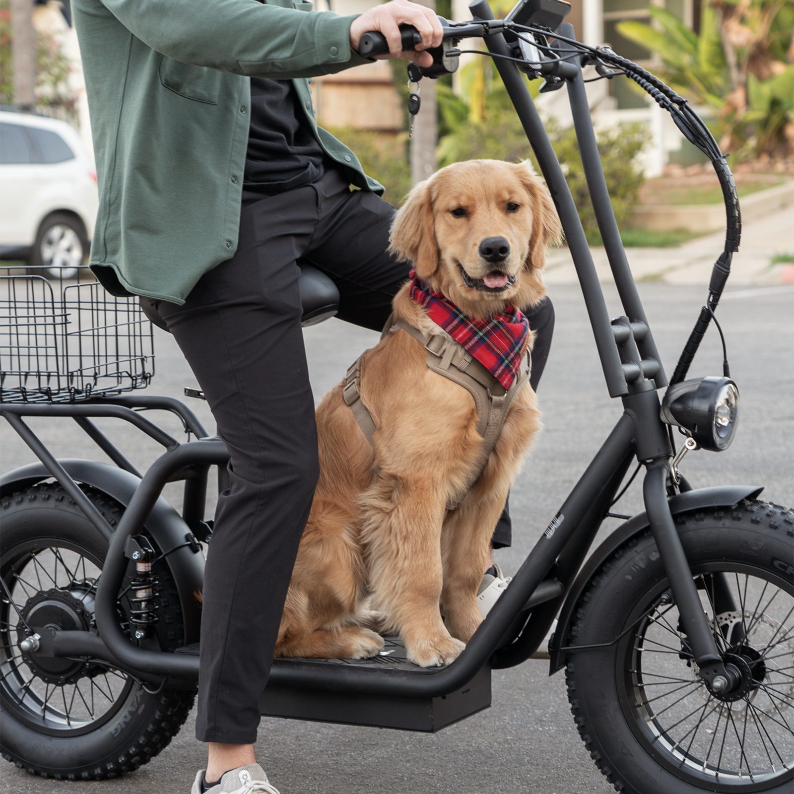Hiboy U2 Pro Electric Scooter with 16" Fat Tires