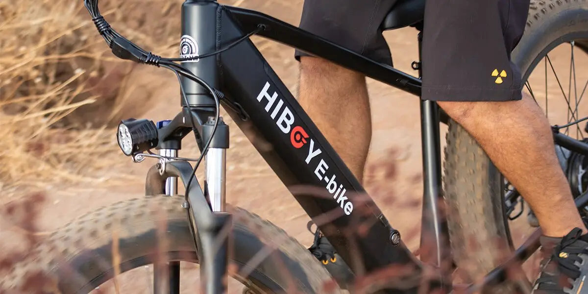 4-Tips-for-Taking-Care-of-Your-Electric-Bike-s-Battery Hiboy