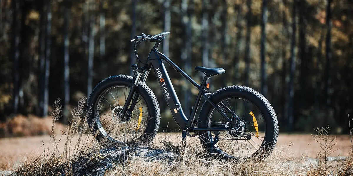 Your-Guide-to-Buying-the-Perfect-Electric-Bike-for-You Hiboy