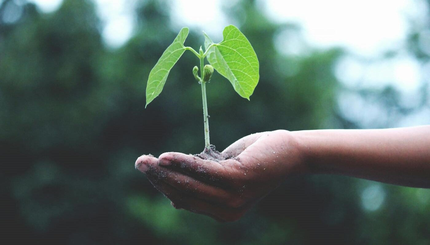 Celebrating-Earth-Day-History-Theme-and-Activities Hiboy