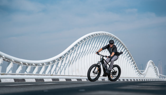 Everything You Need to Know About Electric Bike Chargers