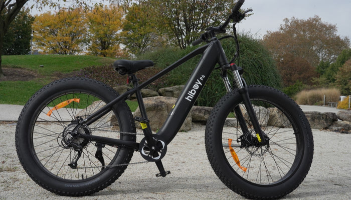 How Does an Electric Bike Cost in General?