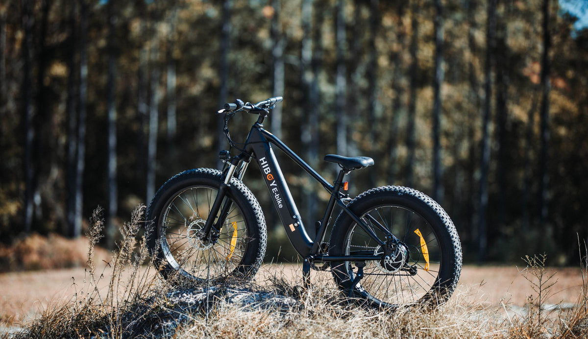 10 Best Electric Bike Brands in North America for 2026