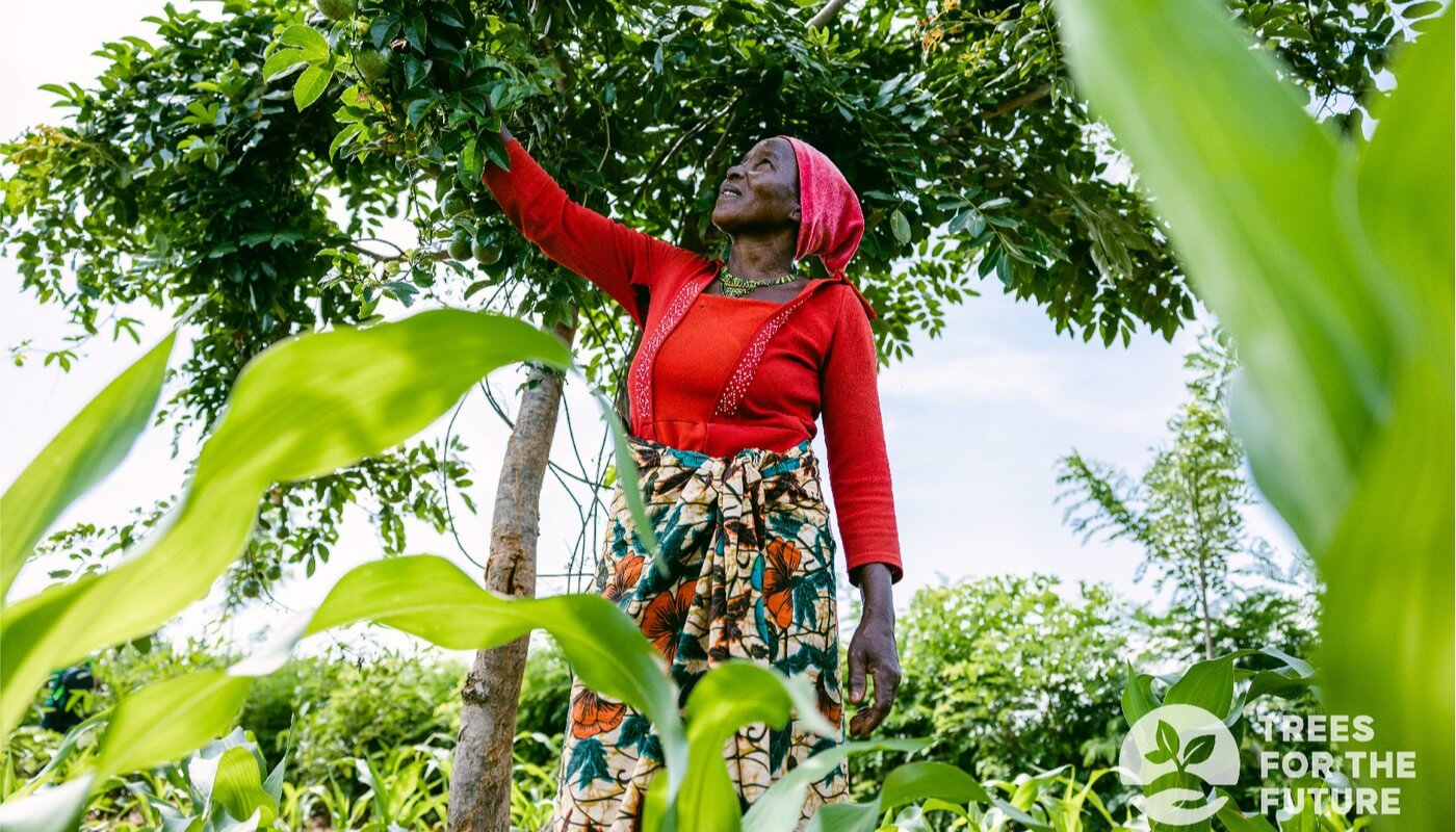 Hiboy's Earth Day Tree Donation Program: Partnering with Betty's Forest Garden Plan to Protect Our Green Home