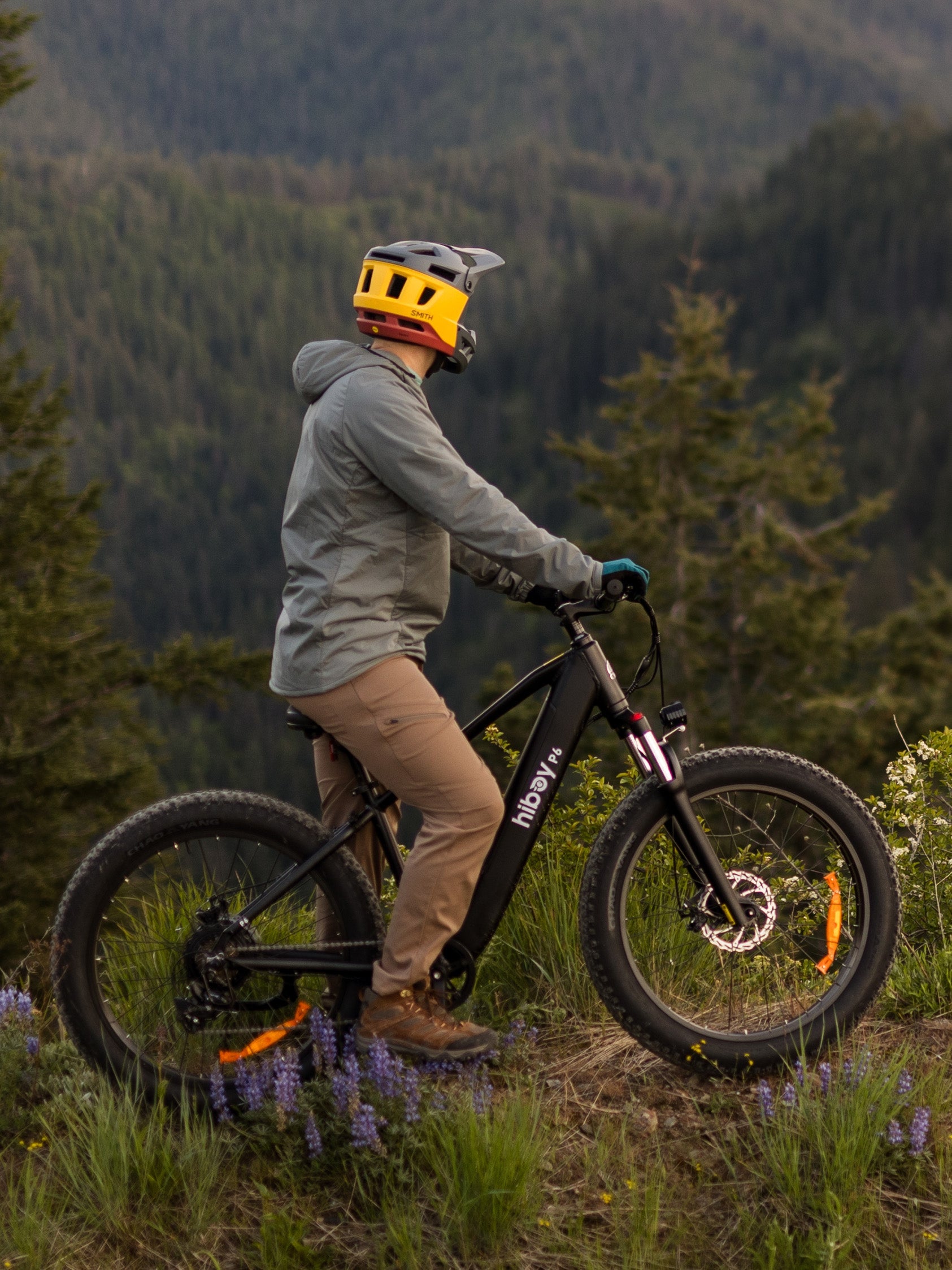 Electric Bikes