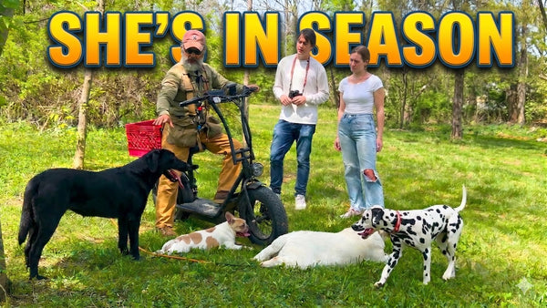 Exercising A Lab In Heat and Hanging Out With Uncle Stonnie