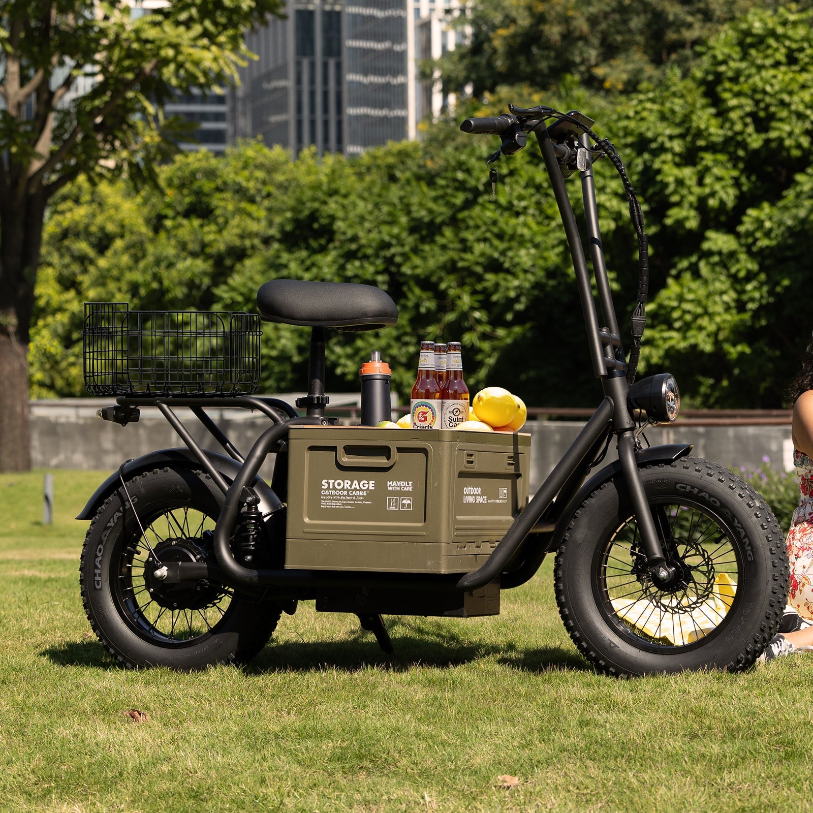 Hiboy U2 Pro Electric Scooter with 16" Fat Tires