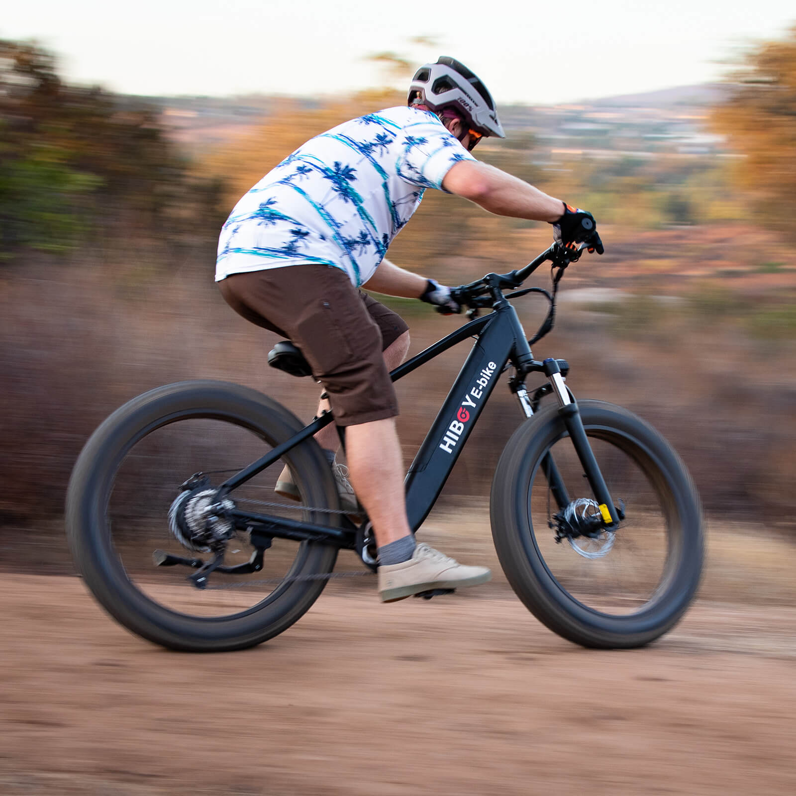 Hiboy P6 Refurbished Fat Tire Electric Bike Hiboy